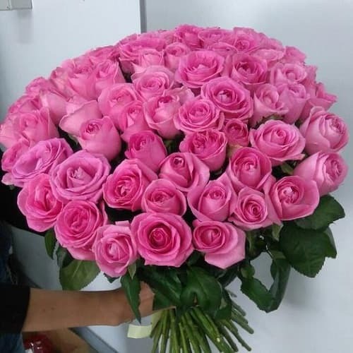 Купить на заказ Букет из 75 розовых роз с доставкой в Степняке